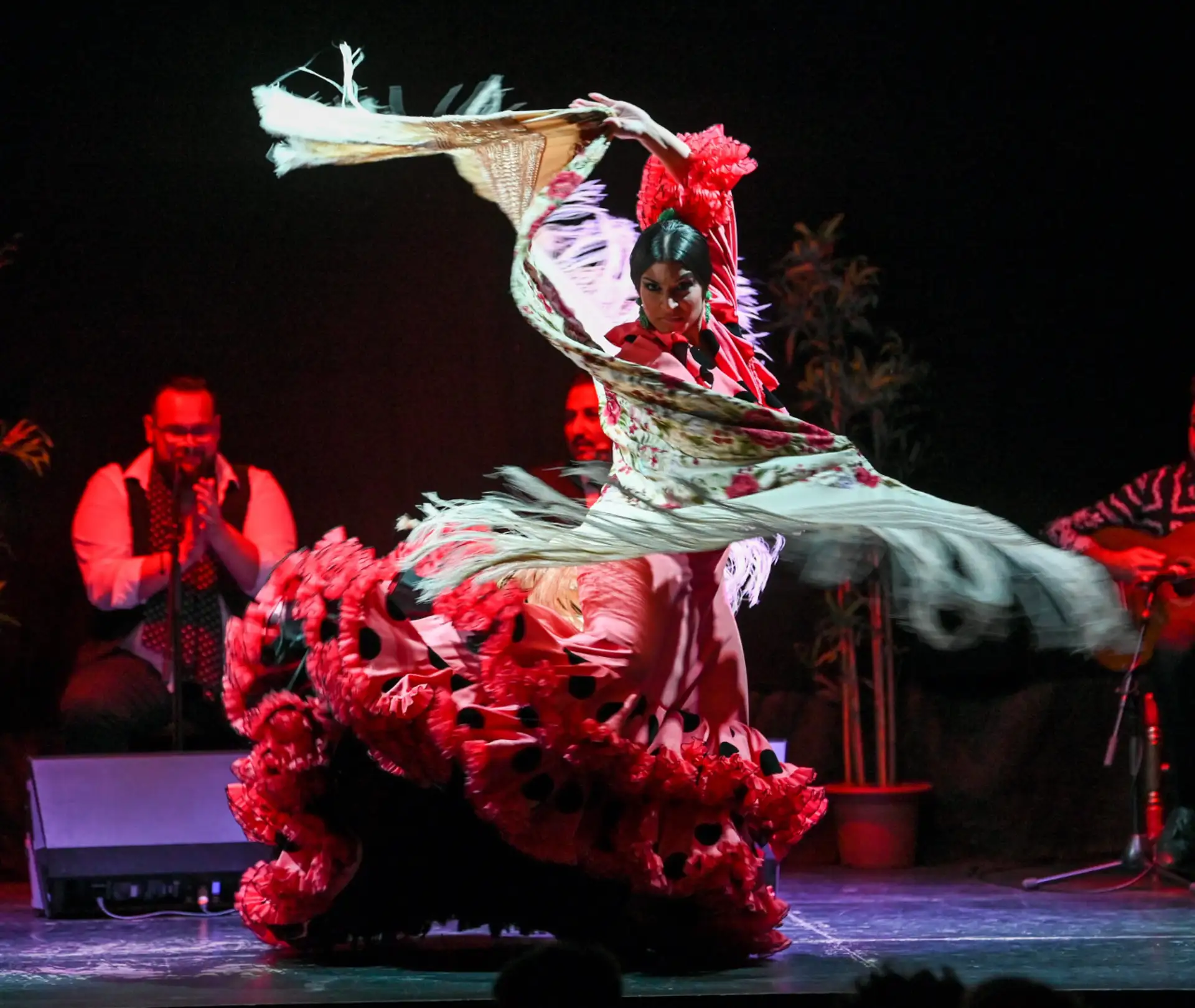 Show Flamenco Barcelona dansatori și muzică live